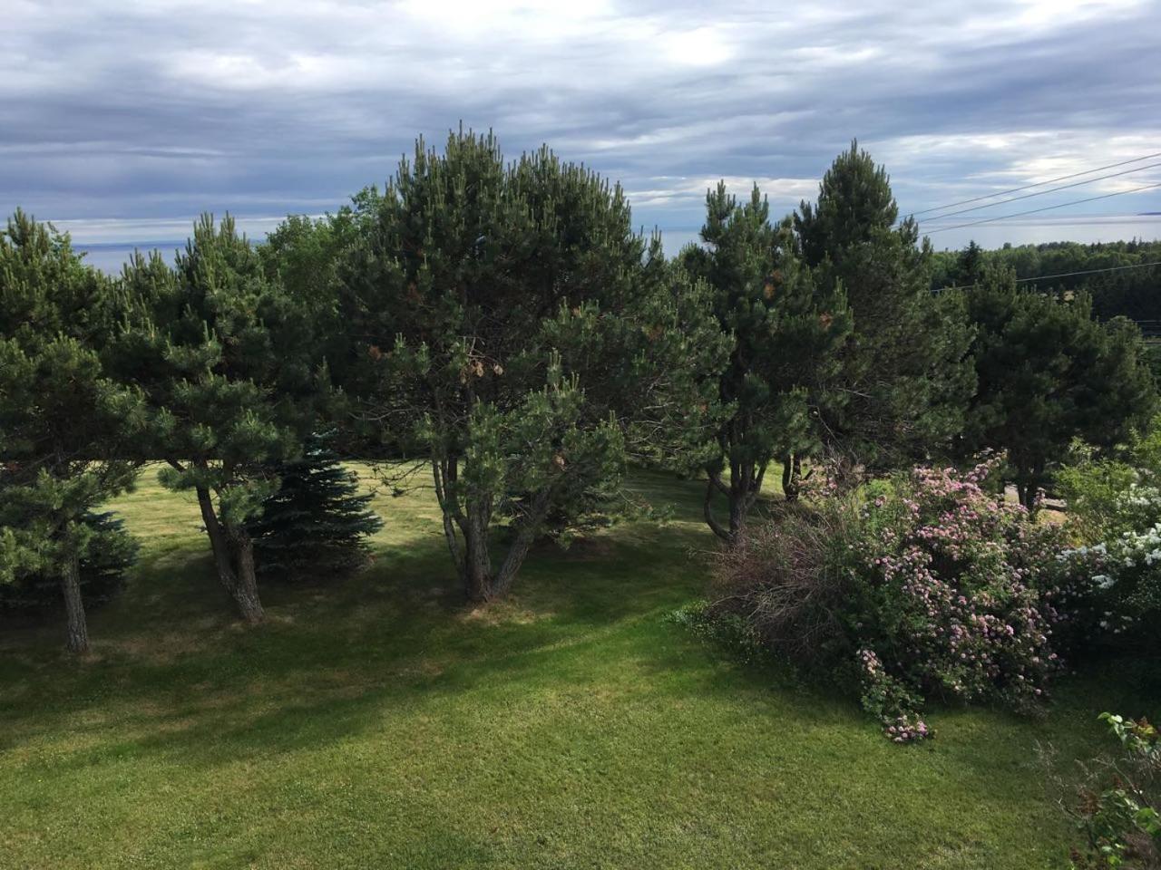 Bed and Breakfast Seaview White House Stratford Экстерьер фото
